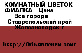 КОМНАТНЫЙ ЦВЕТОК -ФИАЛКА › Цена ­ 1 500 - Все города  »    . Ставропольский край,Железноводск г.